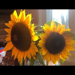 Meet your Posher, Bonnie